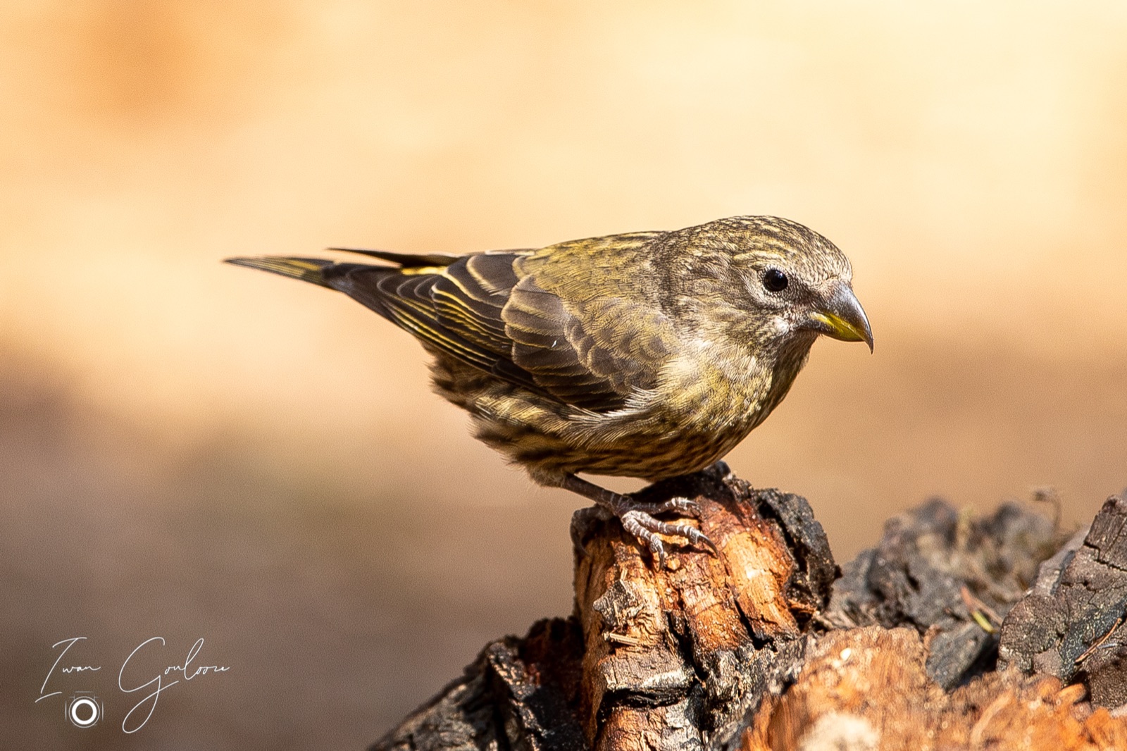 27 april 2022 151031  5D48018